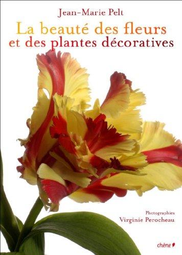 La beauté des fleurs et des plantes décoratives