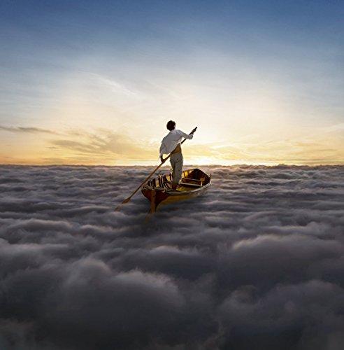 The Endless River [Vinyl LP]