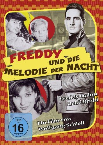 Freddy und die Melodie der Nacht