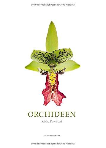 Orchideen