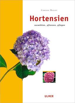 Hortensien: Auswählen, pflanzen und pflegen