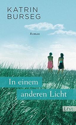 In einem anderen Licht: Roman