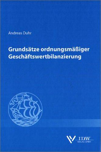 Grundsätze ordnungsmäßiger Geschäftswertbilanzierung (Kogge Reihe)