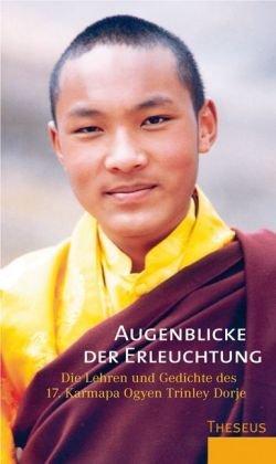 Augenblicke der Erleuchtung: Die Lehren und Gedichte des 17. Karmapa Ogyen Trinley Dorje