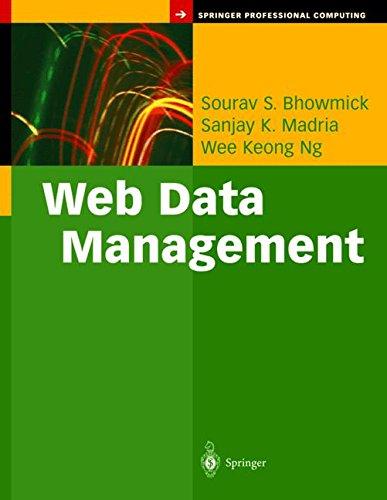 Web Data Management: A Warehouse Approach (Springer Professional Computing)