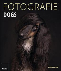 Fotografie Dogs