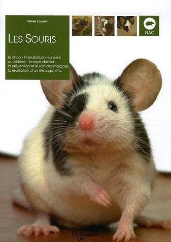 Les souris