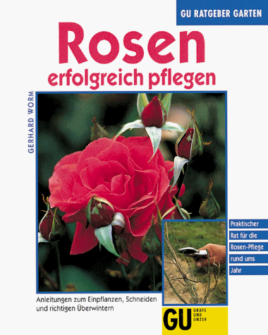 Rosen erfolgreich pflegen