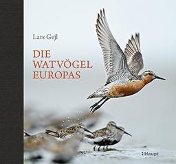 Die Watvögel Europas