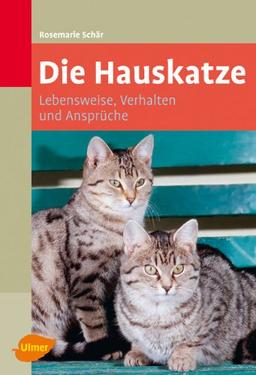 Die Hauskatze: Lebensweise, Verhalten und Ansprüche