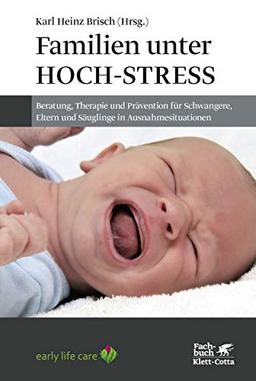 Familien unter Hoch-Stress: Beratung, Therapie und Prävention für Schwangere, Eltern und Säuglinge in Ausnahmesituationen