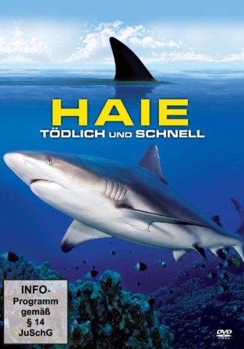 Haie - Tödlich und schnell