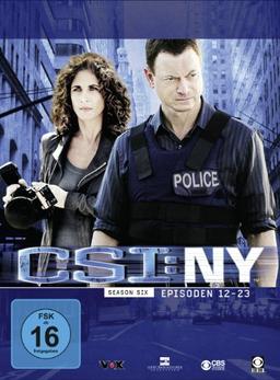 CSI: NY - Season 6.2 [3 DVDs]