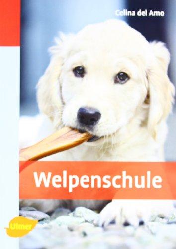 Welpenschule