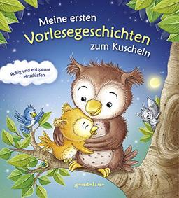 Meine ersten Vorlesegeschichten zum Kuscheln - Ruhig und entspannt einschlafen. Die Einschlafhilfe mit Geschichten zum Vorlesen und Einschlafen für Kinder schon ab 12 Monate.