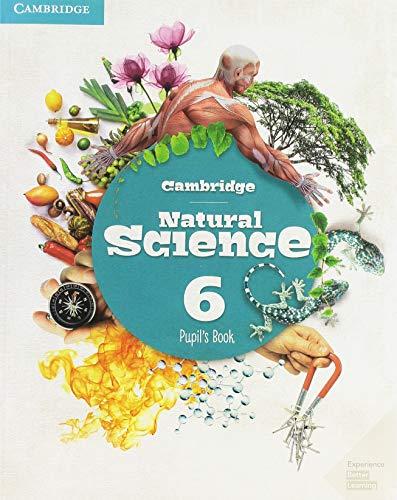 Cambridge Natural Science Level 6 Pupil's Book (Natural Science Primary)