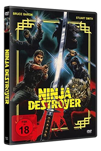 Ninja Destroyer