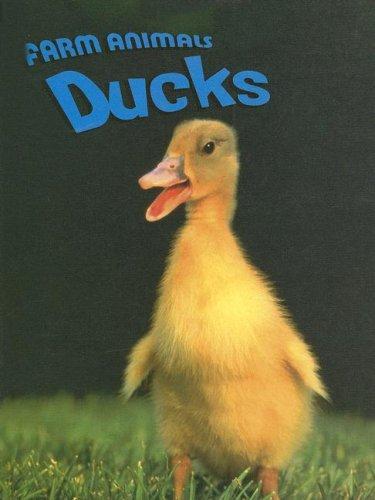 Ducks (Farm Animals)