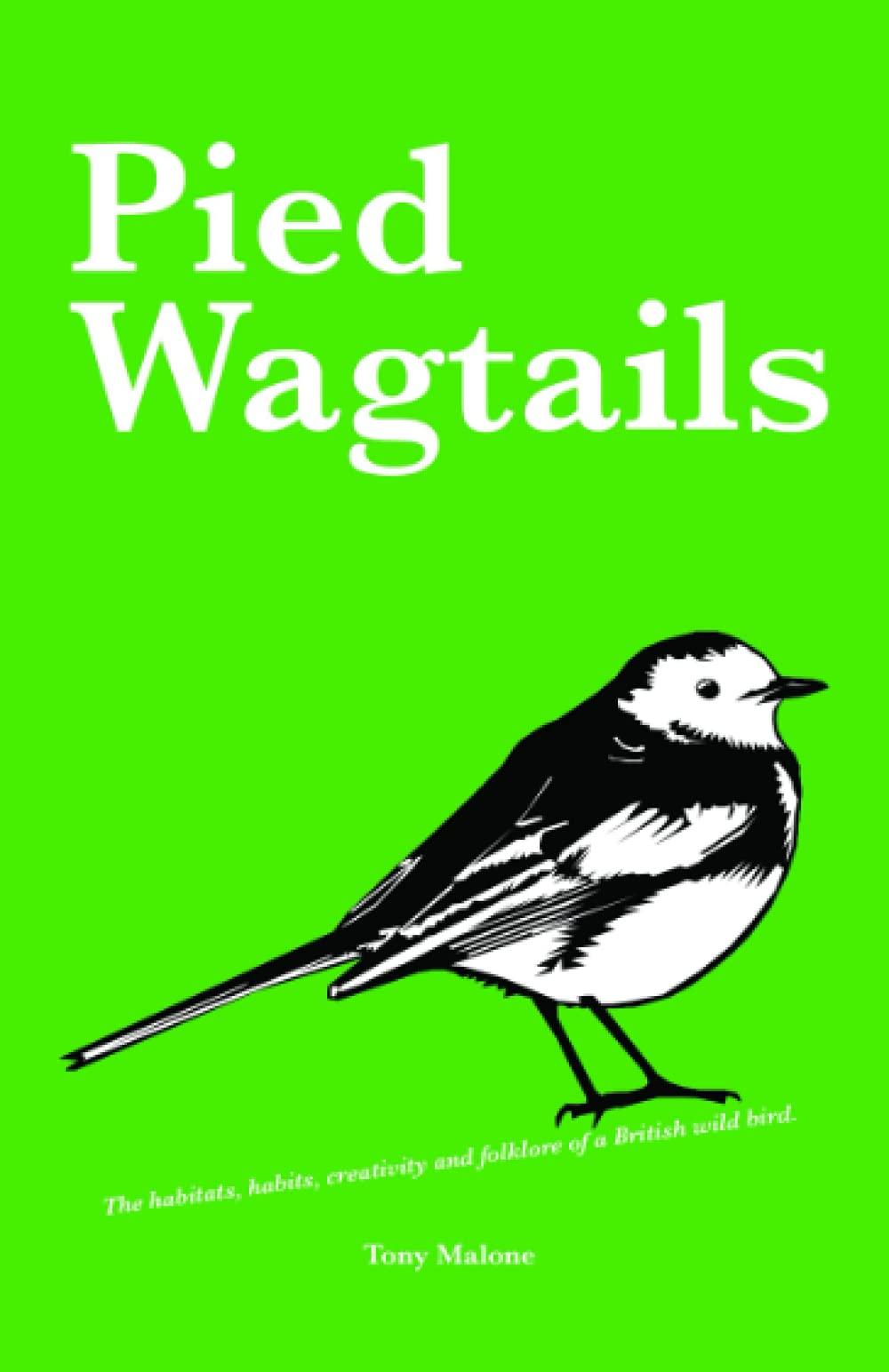 Pied Wagtails: The habitats, habits, creativity and folklore of a British wild bird.