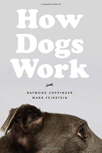 How Dogs Work