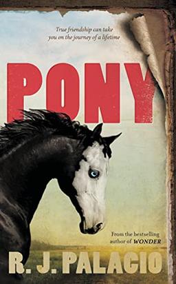 Pony: from the bestselling author of Wonder