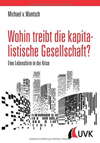 Wohin treibt die kapitalistische Gesellschaft?: Eine Lebensform in der Krise