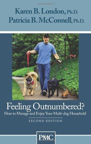 Feeling Outnumbered?: How to Manage and Enjoy Your Multi-Dog Household