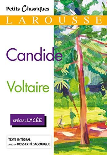 Candide : spécial lycée