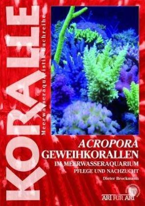 Acropora-Geweihkorallen im Meerwasseraquarium: Pflege und Vermehrung