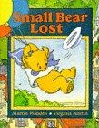 Small Bear Lost