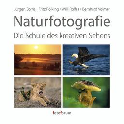 Naturfotografie: Die Schule des kreativen Sehens