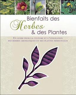 Bienfaits des herbes & des plantes : un guide pour la culture et l'utilisation des herbes aromatiques et des plantes médicinales