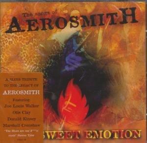 Blues on fire - Songs Of Aerosmith