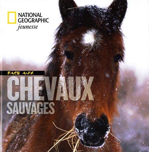 Face aux chevaux sauvages