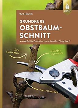 Grundkurs Obstbaumschnitt: Von Apfel bis Zwetsche - so schneiden Sie gut ab