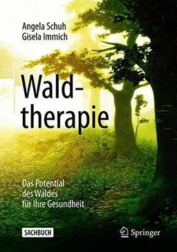 Waldtherapie - das Potential des Waldes für Ihre Gesundheit