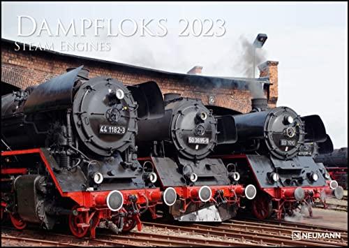 Dampfloks 2023 - Foto-Kalender - Wand-Kalender - 42x29,7: Steam Engines