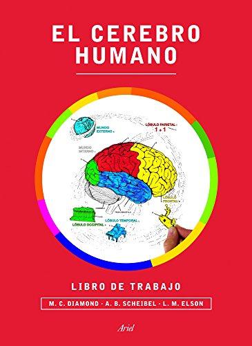 El cerebro humano : libro de trabajo (Ariel)