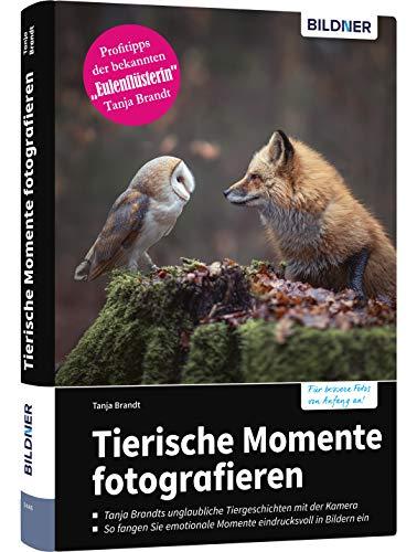 Tierische Momente fotografieren