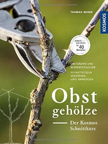 Obstgehölze - Der KOSMOS Schnittkurs: Obstbäume und Beerensträucher - Schnittregeln verstehen und anwenden