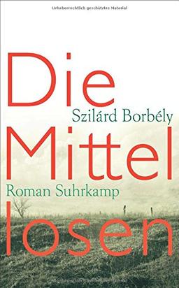 Die Mittellosen: Roman (suhrkamp taschenbuch)