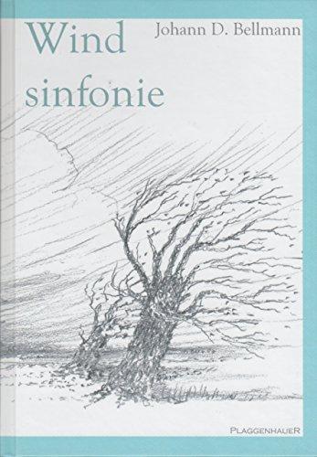 Windsinfonie: Niederdeutsche Erzählung einschl. Hörbuch