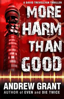 More Harm Than Good (David Trevellyan Thriller)