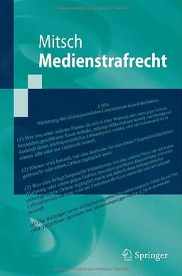 Medienstrafrecht (Springer-Lehrbuch) (German Edition)