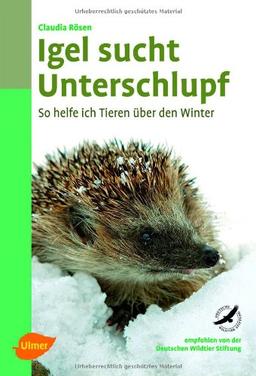 Igel sucht Unterschlupf: So helfe ich Tieren über den Winter