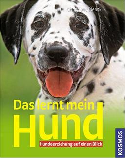 Das lernt mein Hund: Hundeerziehung auf einen Blick