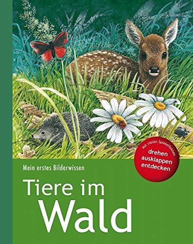 Mein erstes Bilderwissen: Tiere im Wald