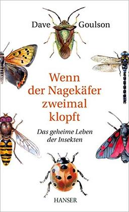 Wenn der Nagekäfer zweimal klopft: Das geheime Leben der Insekten