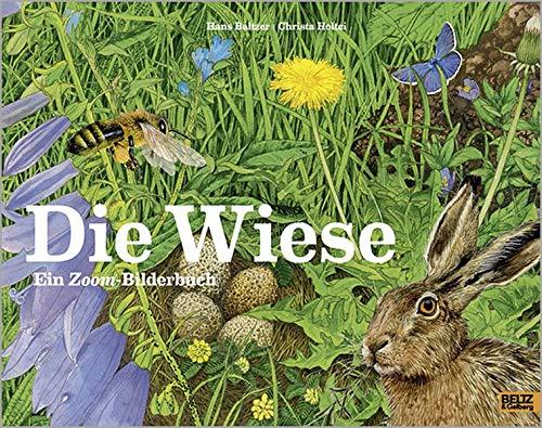 Die Wiese: Ein Zoom-Bilderbuch