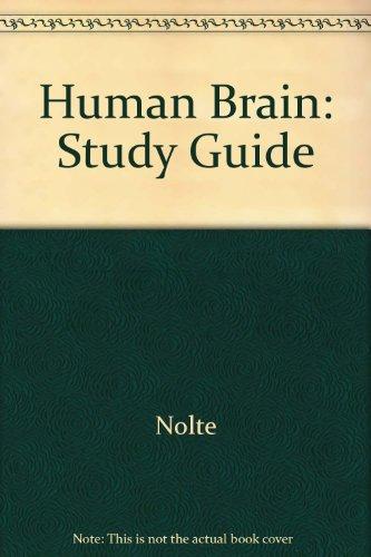 Study Guide (Human Brain)